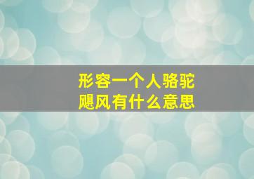 形容一个人骆驼飓风有什么意思