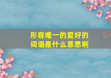 形容唯一的爱好的词语是什么意思啊