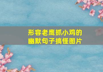 形容老鹰抓小鸡的幽默句子搞怪图片