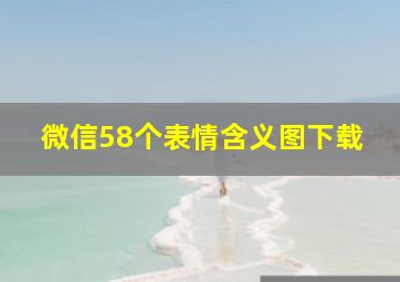 微信58个表情含义图下载