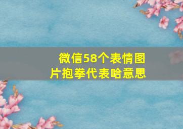 微信58个表情图片抱拳代表哈意思