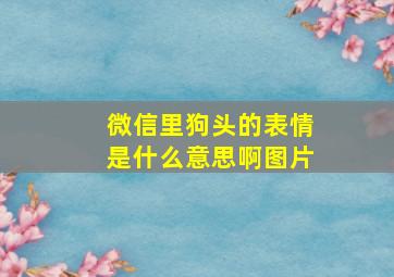 微信里狗头的表情是什么意思啊图片