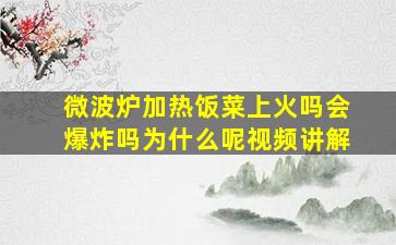 微波炉加热饭菜上火吗会爆炸吗为什么呢视频讲解