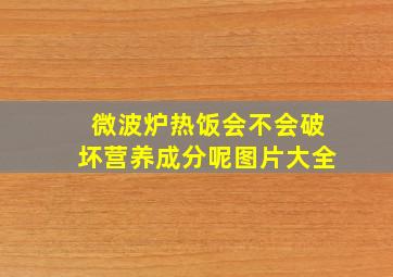 微波炉热饭会不会破坏营养成分呢图片大全