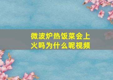 微波炉热饭菜会上火吗为什么呢视频