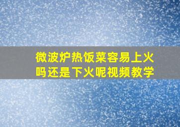 微波炉热饭菜容易上火吗还是下火呢视频教学