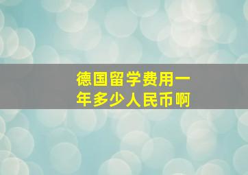 德国留学费用一年多少人民币啊