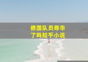 德国队员辱华了吗知乎小说