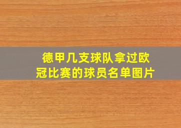 德甲几支球队拿过欧冠比赛的球员名单图片