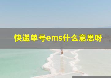 快递单号ems什么意思呀