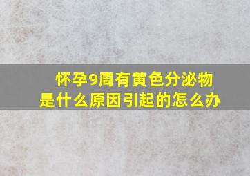 怀孕9周有黄色分泌物是什么原因引起的怎么办