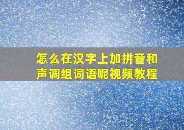 怎么在汉字上加拼音和声调组词语呢视频教程