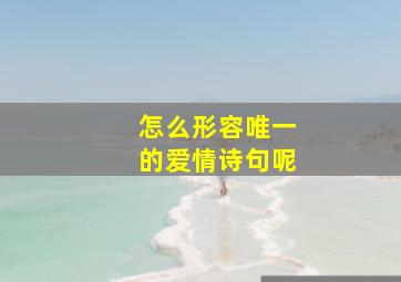 怎么形容唯一的爱情诗句呢