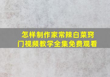 怎样制作家常辣白菜窍门视频教学全集免费观看