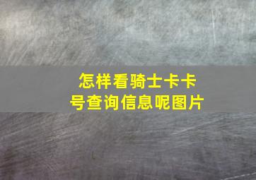 怎样看骑士卡卡号查询信息呢图片