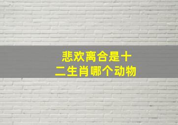 悲欢离合是十二生肖哪个动物