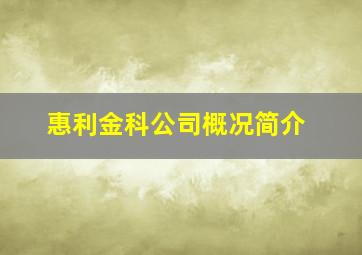 惠利金科公司概况简介