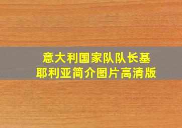 意大利国家队队长基耶利亚简介图片高清版