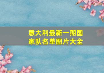 意大利最新一期国家队名单图片大全