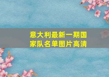 意大利最新一期国家队名单图片高清