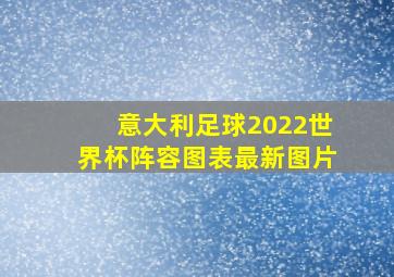 意大利足球2022世界杯阵容图表最新图片