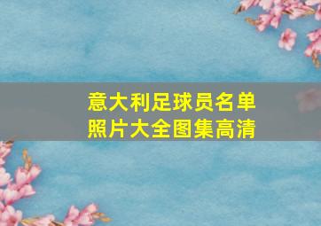 意大利足球员名单照片大全图集高清