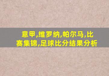 意甲,维罗纳,帕尔马,比赛集锦,足球比分结果分析