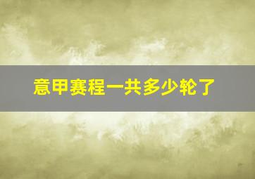 意甲赛程一共多少轮了