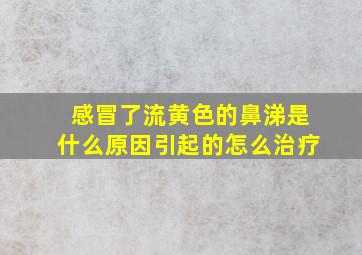 感冒了流黄色的鼻涕是什么原因引起的怎么治疗