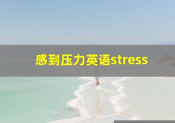 感到压力英语stress