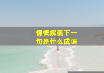 慷慨解囊下一句是什么成语