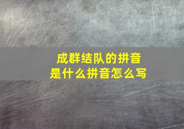 成群结队的拼音是什么拼音怎么写