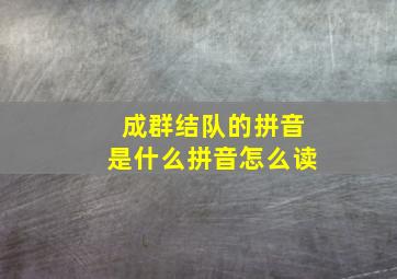 成群结队的拼音是什么拼音怎么读