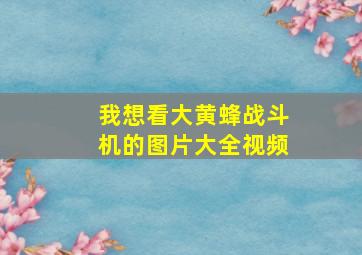 我想看大黄蜂战斗机的图片大全视频