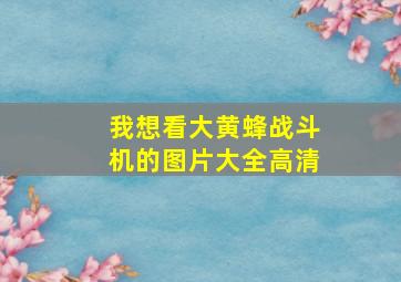 我想看大黄蜂战斗机的图片大全高清