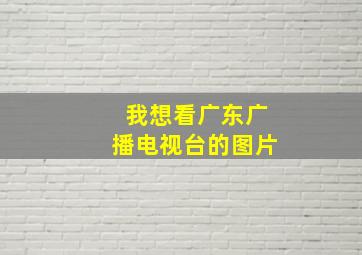 我想看广东广播电视台的图片