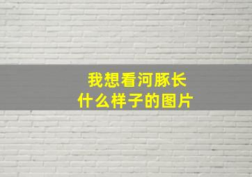 我想看河豚长什么样子的图片