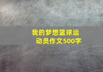 我的梦想篮球运动员作文500字