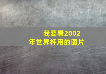 我要看2002年世界杯用的图片