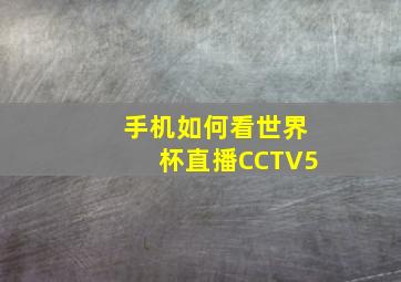 手机如何看世界杯直播CCTV5