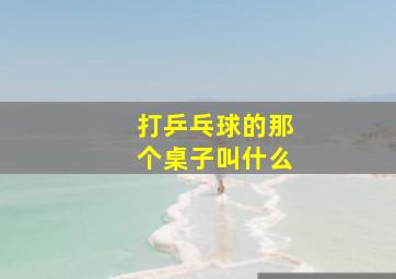 打乒乓球的那个桌子叫什么