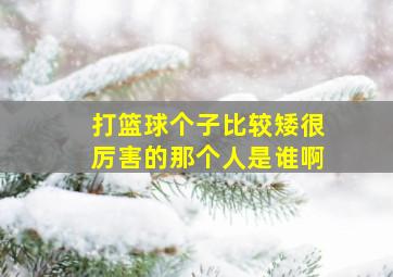 打篮球个子比较矮很厉害的那个人是谁啊