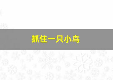 抓住一只小鸟