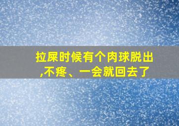 拉屎时候有个肉球脱出,不疼、一会就回去了