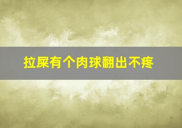 拉屎有个肉球翻出不疼