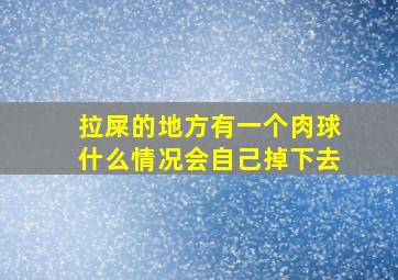 拉屎的地方有一个肉球什么情况会自己掉下去