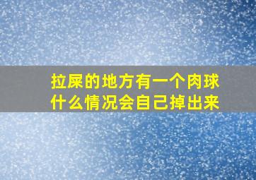 拉屎的地方有一个肉球什么情况会自己掉出来