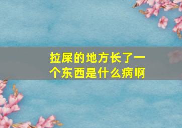 拉屎的地方长了一个东西是什么病啊