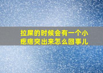 拉屎的时候会有一个小疙瘩突出来怎么回事儿