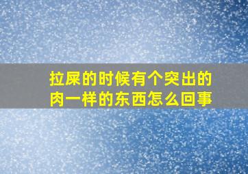 拉屎的时候有个突出的肉一样的东西怎么回事